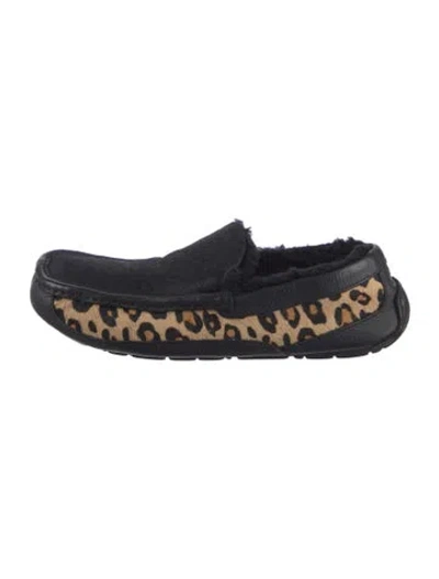 Pre-owned Ugg Leather Animal Print Moccasins In Blue
