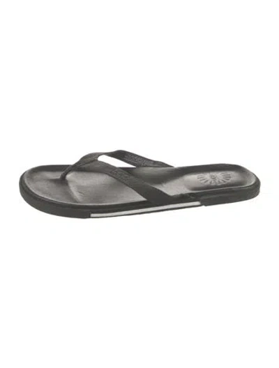 Pre-owned Ugg Leather Flip Flops In Gray