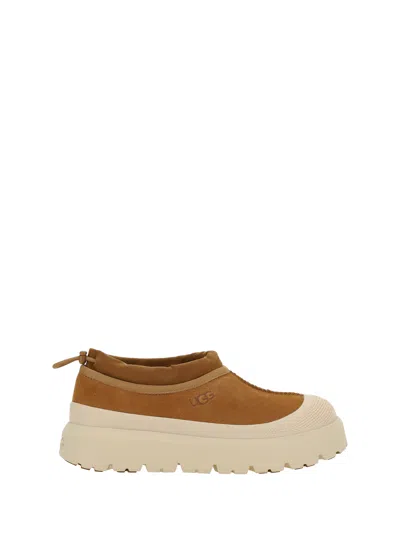 Ugg Tasman Weather Hybrid Suede Shoes In Chestnut / Whitecap