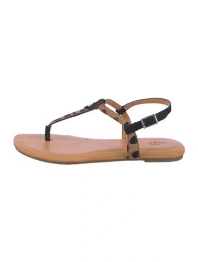 Pre-owned Ugg Leather T-strap Sandals In Brown