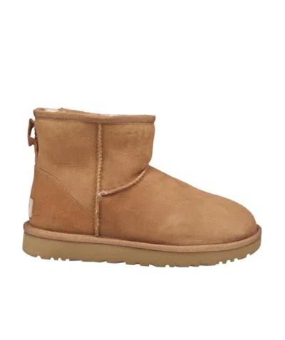 Ugg Lined Ankle Boots In Brown
