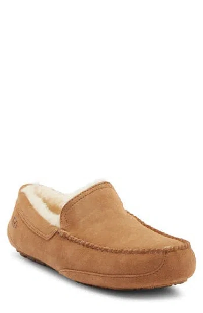 Ugg ® Linscot Slipper In Brown
