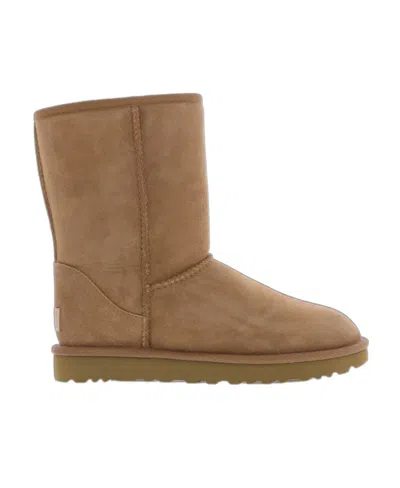 Ugg Logo Boots In Brown