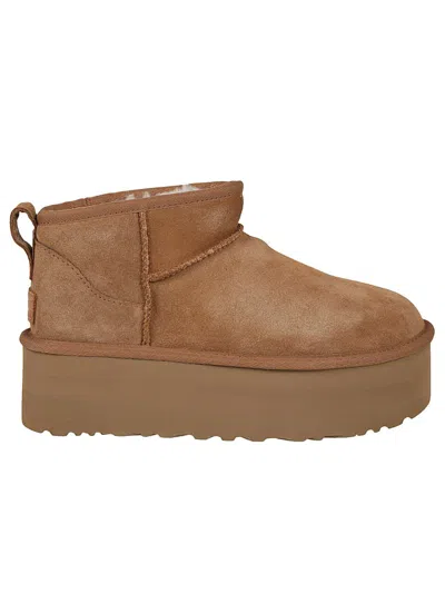 Ugg Low-cut Australian Merino Sheepskin Boots In Brown