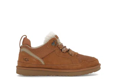 Pre-owned Ugg Lowmel (kids) Sneakers In Chestnut In Brown