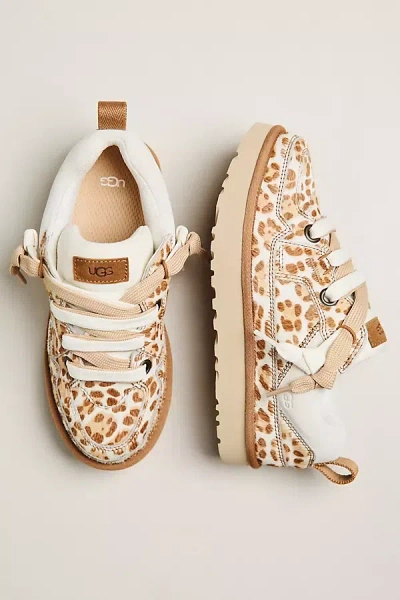 Ugg Lowmel Plains Sneakers In Brown