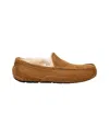 Ugg M Ascot In Brown