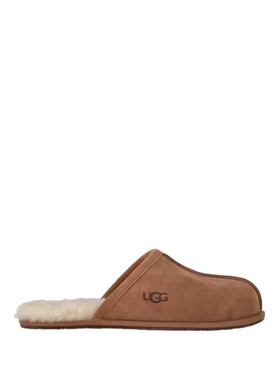 Ugg M Scuff In Brown