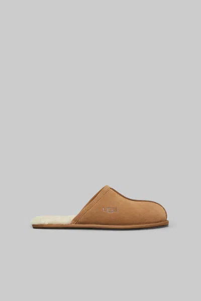 Ugg M Scuff In There Is No Color Specification For This Product.