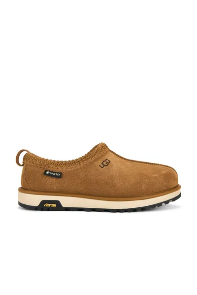 Ugg M Tasman Gtx In Brown