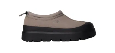 Ugg M Tasman Weather Hybrid In Smoke Plume / Black