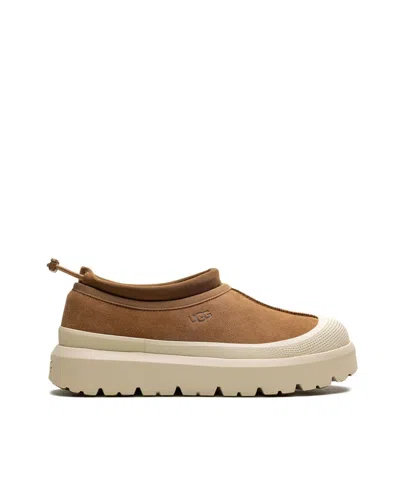 Ugg M's Tasman Weather Hybrid Sneakers In Chestnut/whitecap In Multi