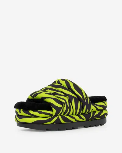 Ugg Maxi Slide Tiger Print In Key Lime In Green