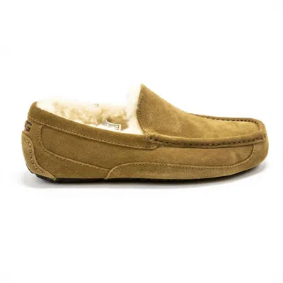 Ugg Men's Ascot Loafer Style Slippers In Chestnut In Green
