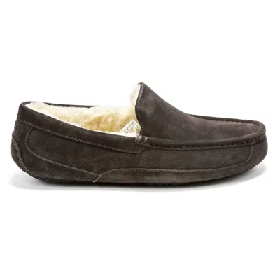 Ugg Men's Ascot Loafer Style Slippers In Espresso In Multi