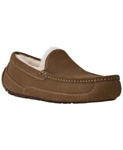 Ugg Ascot Slippers Light Bronze In Brown