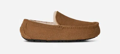 Ugg Ascot Slipper One Pedal Athleisure Casual Sports Shoes Fleece Lined In Multi