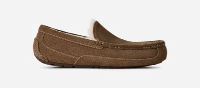 Ugg ® Men's Ascot Sheepskin Slipper Loafers In Light Bronze In Brown