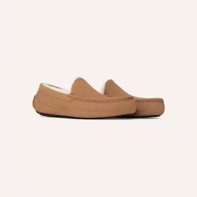 Ugg Men's Ascot Slipper In Chestnut In Nude