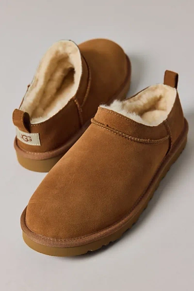 Ugg Men's Classic Micro Mini Suede Boot In Chestnut, Men's At Urban Outfitters In Brown