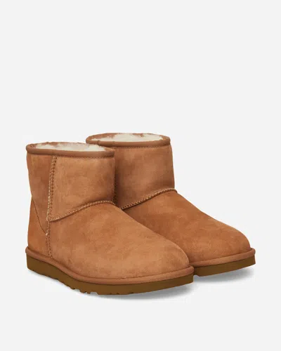 Ugg Men S Classic Mini Boots Chestnut In Brown