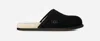 Ugg Scuff Suede Slippers In Black