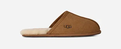 Ugg ® Men's Scuff Sheepskin Backless Slipper In Brown/