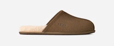 Ugg ® Men's Scuff Sheepskin Backless Slipper In Light Bronze In Brown