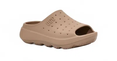 Ugg Men's Slides In Tan In Multi