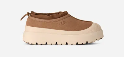 UGG ® MEN'S TASMAN WEATHER HYBRID SUEDE SHOES IN CHESTNUT/WHITECAP