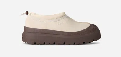 Ugg ® Men's Tasman Weather Hybrid Suede Shoes In Jasmine/molasses In White