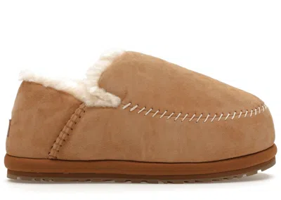 Pre-owned Ugg Men's  Anders Slipper Sneakers In Chestnut In Brown