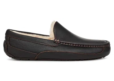Pre-owned Ugg Men's  Ascot Leather Slipper Sneakers In Dark Spice In Brown