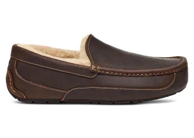 Pre-owned Ugg Men's  Ascot Matte Slipper Sneakers In Tan
