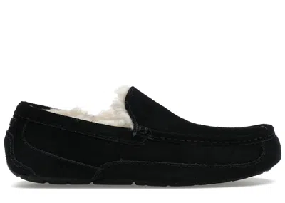 Pre-owned Ugg Men's  Ascot Slipper Sneakers In Black