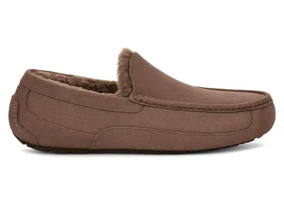 Pre-owned Ugg Men's  Ascot Slipper Sneakers In Caribou
