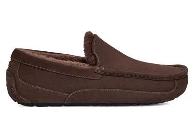 Pre-owned Ugg Men's  Ascot Slipper Sneakers In Dusted Cocoa