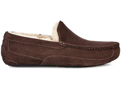Pre-owned Ugg Men's  Ascot Slipper Sneakers In Espresso In Brown