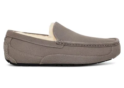 Pre-owned Ugg Men's  Ascot Slipper Sneakers In Grey In Gray