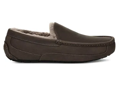 Pre-owned Ugg Men's  Ascot Slipper Sneakers In Thunder Cloud In Gray