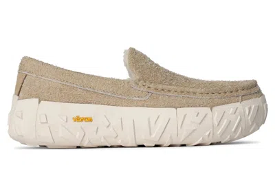 Pre-owned Ugg Men's  Ascot Wrap Tech Sneakers In Mustard Seed In Yellow