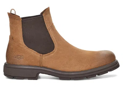 Pre-owned Ugg Men's  Biltmore Chelsea Boot Sneakers In Chestnut Suede In Brown
