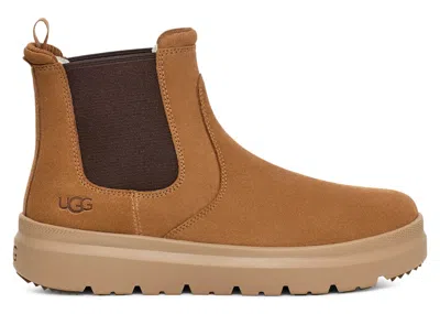 Pre-owned Ugg Men's  Burleigh Chelsea Boot Sneakers In Chestnut In Brown