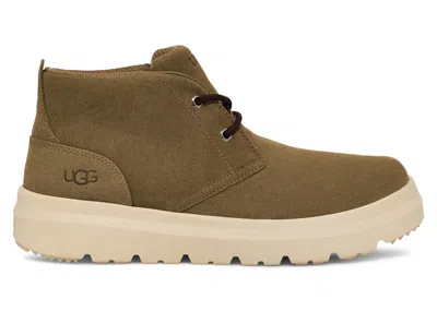 Pre-owned Ugg Men's  Burleigh Chukka Boot Sneakers In Antilope
