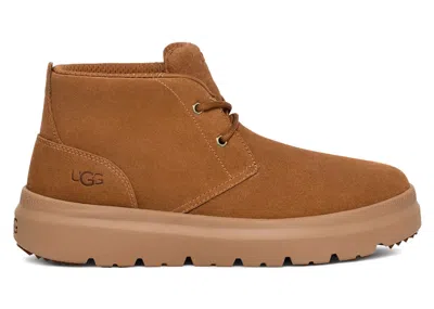 Pre-owned Ugg Men's  Burleigh Chukka Boot Sneakers In Chestnut