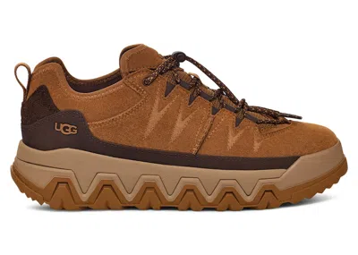 Pre-owned Ugg Men's  Captrail Low Sneakers In Chestnut
