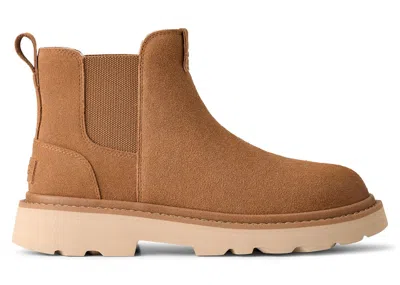 Pre-owned Ugg Men's  Chelsea Lug Boot Sneakers In Chestnut In Brown