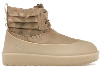 Pre-owned Ugg Men's  Classic Mini Lace Wea Smokescreen Boot Sneakers In Mustard Seed In Yellow