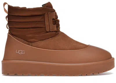 Pre-owned Ugg Men's  Classic Mini Laceup Weather Boot Sneakers In Chestnut