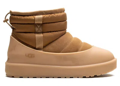 Pre-owned Ugg Men's  Classic Mini Pullon Weather Boot Sneakers In Chestnut In Brown